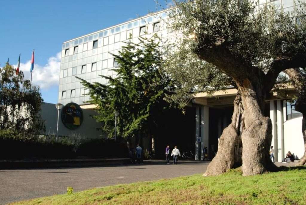 il municipio cittadino